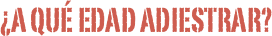 ¿A qué edad adiestrar?