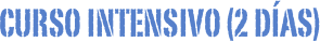 Curso intensivo (2 días)